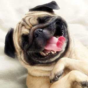 Meet your Posher, Jadyn/mike